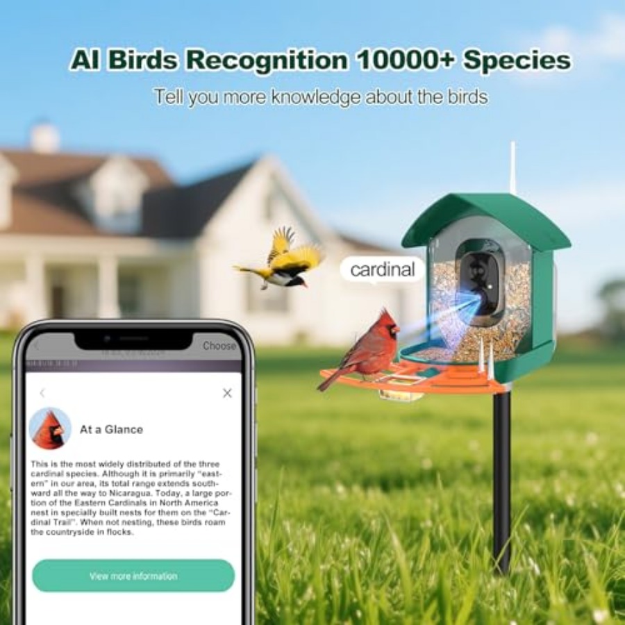 Bird Feeder with Camera, WiFi  - Outdoor Power House incelemesi ve fiyatı