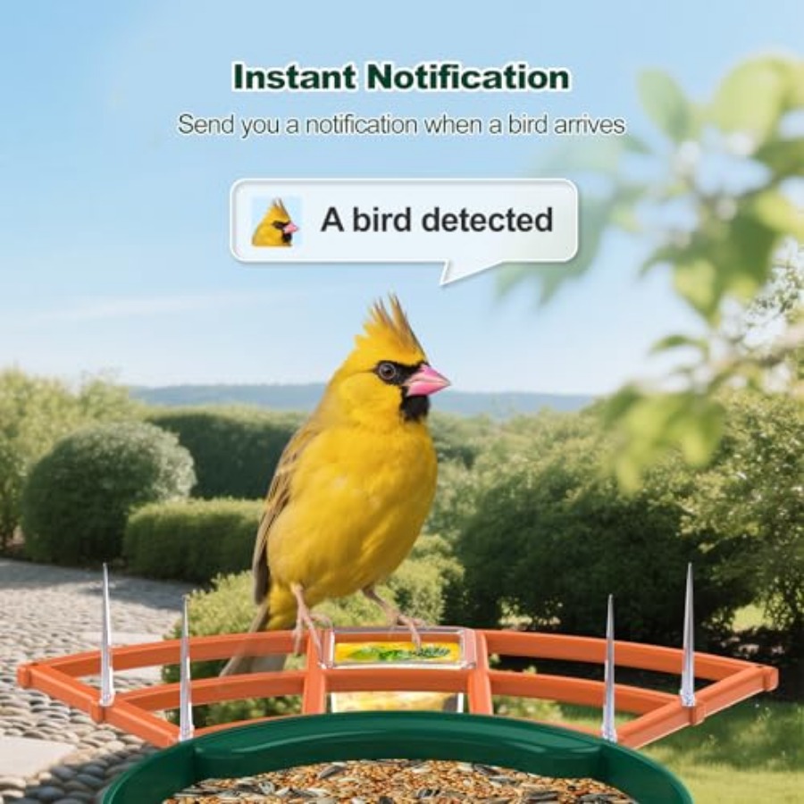 Bird Feeder with Camera, WiFi  - Outdoor Power House incelemesi ve fiyatı