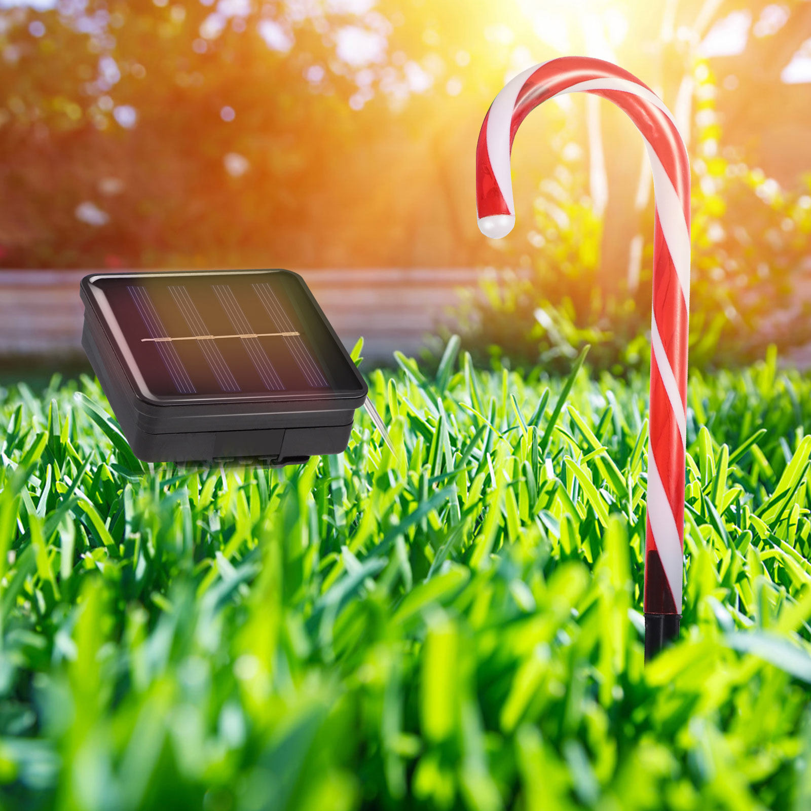 2Sets Solar Powered LED Candy  - Outdoor Solar Power Xmas Lights incelemesi ve fiyatı
